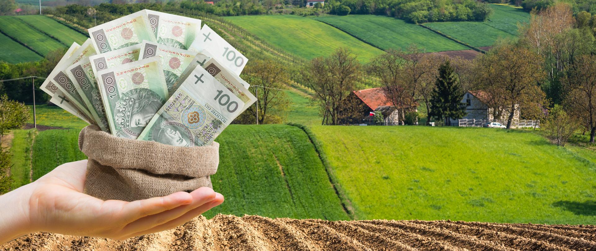 Dopłaty bezpośrednie 2025