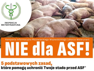 Padłe świnie, poniżej napis "Nie dla ASF!"