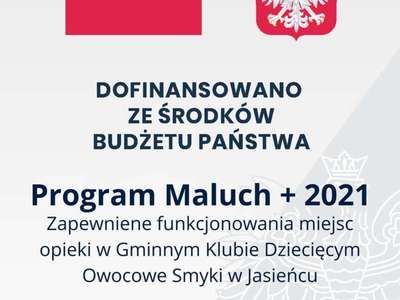 Grafika informująca o dofinansowaniu