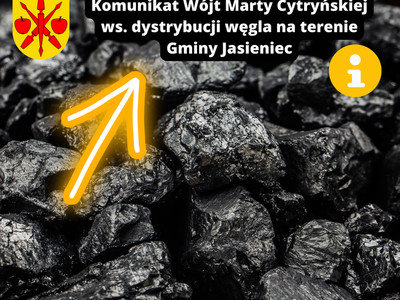 grafika przedstawia węgiel