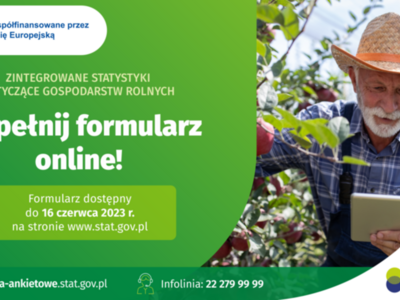 Grafika
