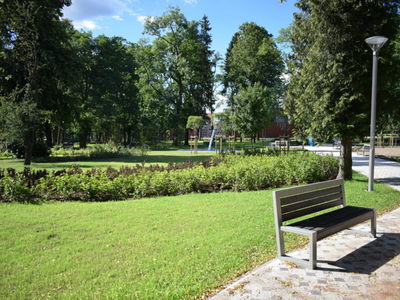 Park Miejski. Widok na zieleń oraz ścieżkę spacerową.