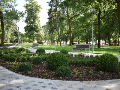 Park Miejski. Widok na ścieżkę spacerową z ławeczkami.