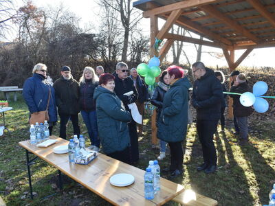 Zielony przystanek w Ostrowie. 