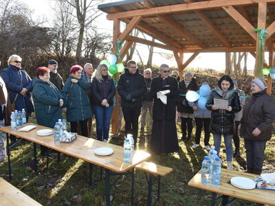 Zielony przystanek w Ostrowie. 