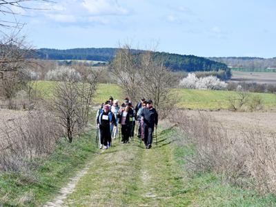 Wiosenny nordic walking w Sulęcinie. 