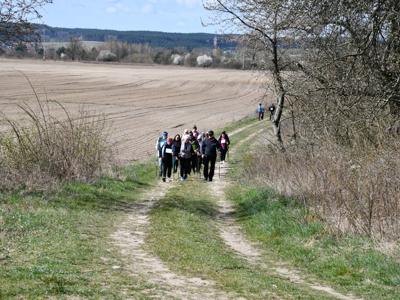 Wiosenny nordic walking w Sulęcinie. 