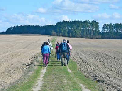 Wiosenny nordic walking w Sulęcinie. 