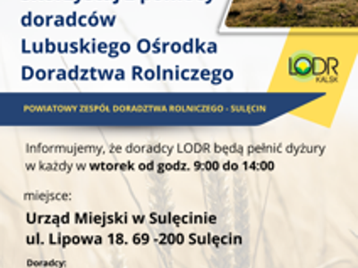 Dyżury doradców LODR