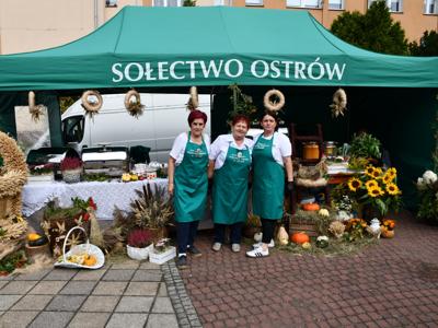 Święto Plonów Sulęcin 2025.