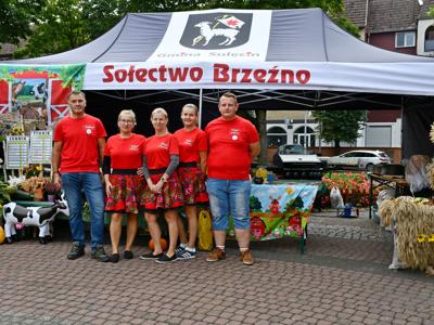 Święto Plonów Sulęcin 2025.