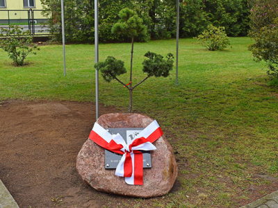 Obelisk z płytą pamiątkową przed odsłonięciem. 
