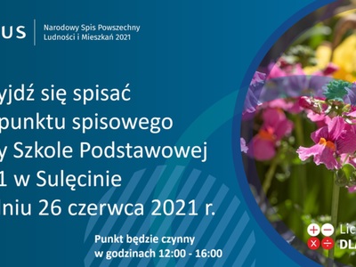 Informacja o punkcie spisowym.