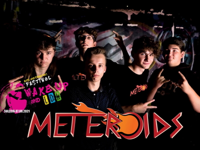 Meteroids