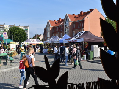 Święto plonów - Sulęcin 2021.