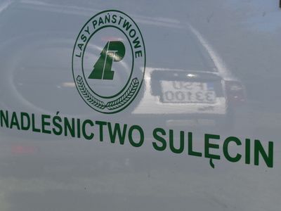 7 drzewek na 777-lecie miasta.