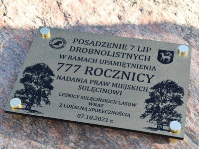 7 drzewek na 777-lecie miasta.