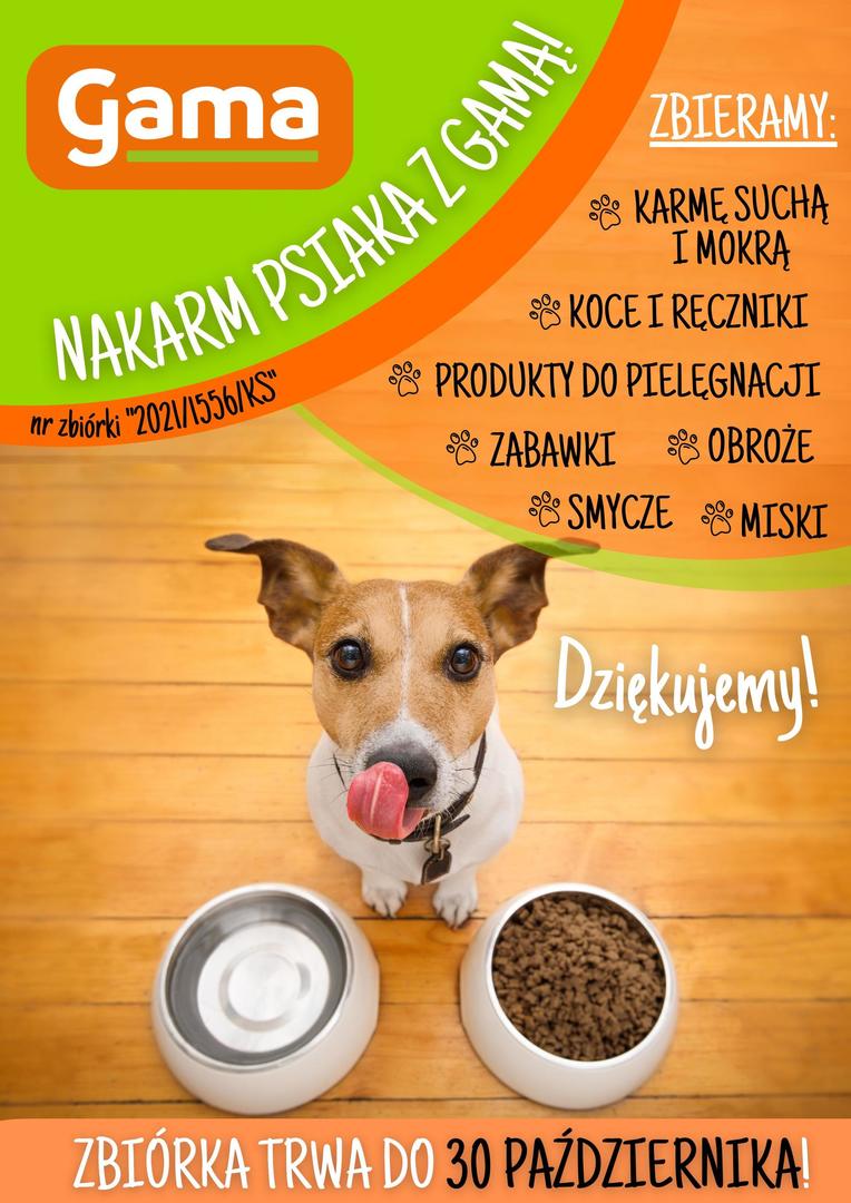 Zbiórka Karmy i akcesoriów w Sieci sklepów Gama Sulęcin