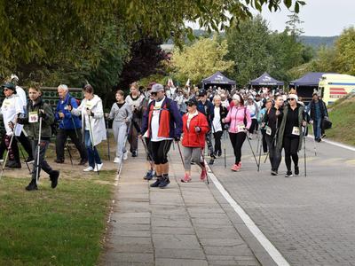 XI Rajd Nordic Walking.