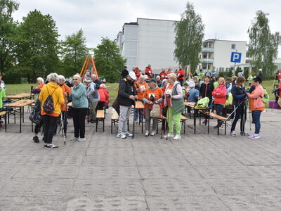 XII Polsko-Niemiecki Nordic Walking w Sulęcinie. Uczestnicy rajdu.