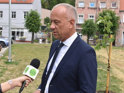 Nasadzenie drzewek przy zakończonej inwestycji w Sulęcinie. 