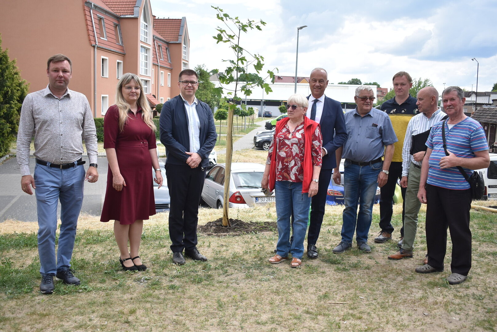 Nasadzenie drzewek przy zakończonej inwestycji w Sulęcinie. 