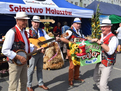 Święto Plonów Sulęcin 2023. Kapela Bajer.