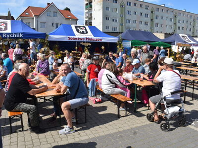 Święto Plonów Sulęcin 2023. Zebrani goście. 