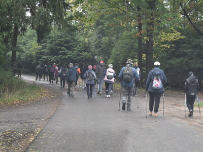 Jesienny Nordic Walking Sulęcin 2023. 