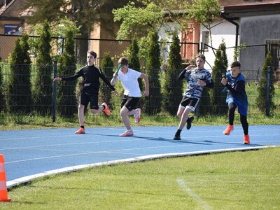 Festiwal Sztafet w ramach Lubuskiej Olimpiady Młodzieży odbył się w Sulęcinie. 