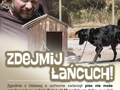 Plakat ,,Zdejmij łańcuch" dotyczący trzymania psa na łańcuchu