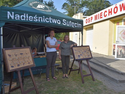 Pożegnanie lata w Miechowie. 