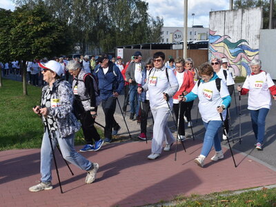 XIII nordic walking w Sulęcinie.