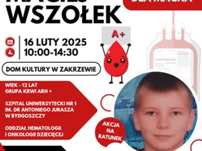 AKCJA KRWIODAWSTWA DLA MAĆKA