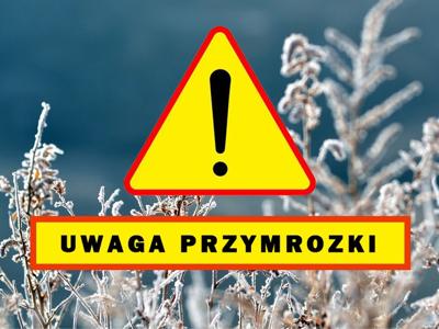 Przymrozek