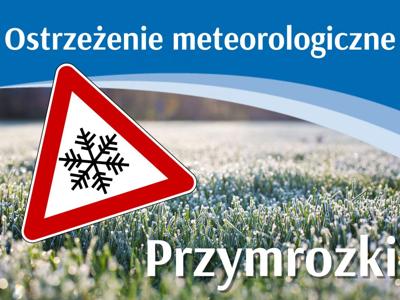 przymrozkii