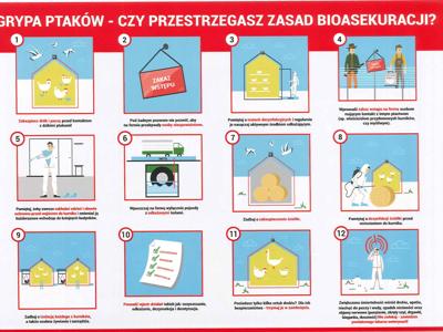  Ostrzeżenie: Wysoce zjadliwa grypa ptaków (HPAI) i rzekomy pomór drobiu (ND) w Polsce!  3