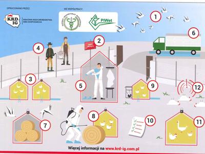 Ostrzeżenie: Wysoce zjadliwa grypa ptaków (HPAI) i rzekomy pomór drobiu (ND) w Polsce!  1