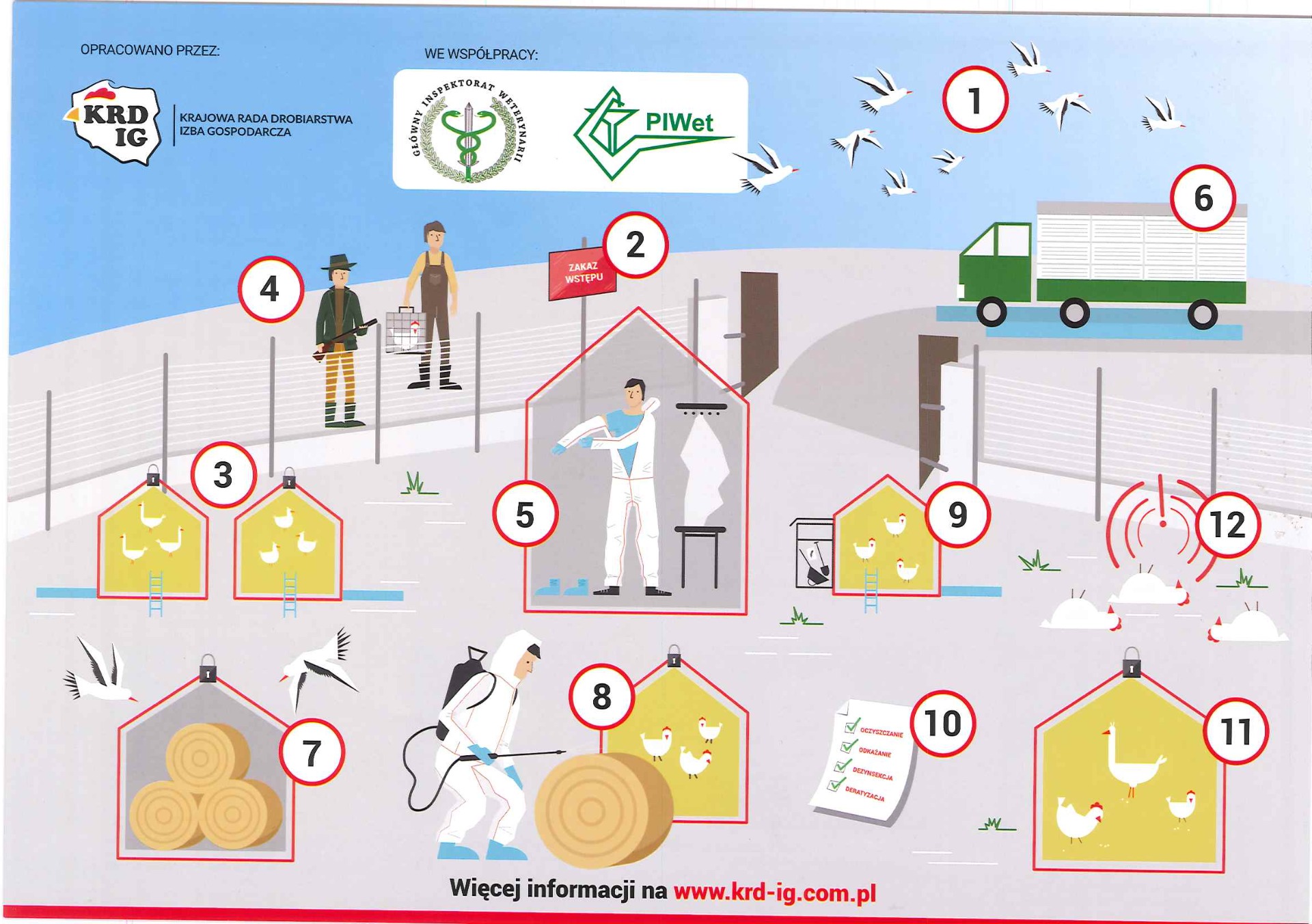  Ostrzeżenie: Wysoce zjadliwa grypa ptaków (HPAI) i rzekomy pomór drobiu (ND) w Polsce!  1
