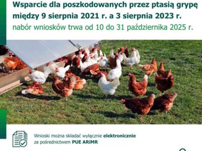 Do 31 października 2025 r. można ubiegać się o rekompensaty z tytułu ptasiej grypy