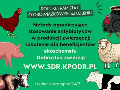 Plakat szkolenia ODR