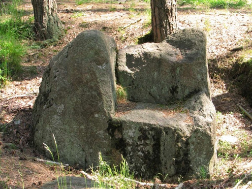Alt= "Zdjęcie przedstawia tak zwany diabelski kamień. Zdjęcie pochodzi z: http://www.polskaniezwykla.pl/web/place/22915,lomnica-glaz.html"