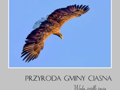 Alt="Okładka albumu przyrodniczego pt.: "Przyroda Gminy Ciasna"."