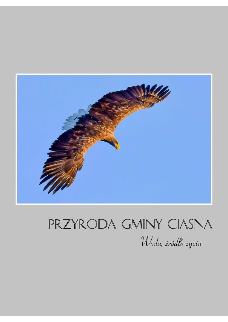 Alt="Okładka albumu przyrodniczego pt.: "Przyroda Gminy Ciasna"."