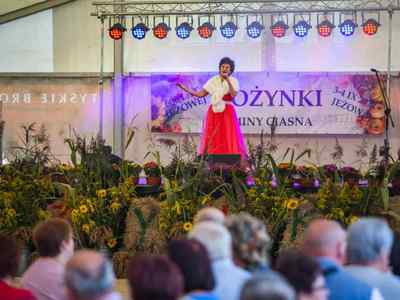 Alt="Zdjęcie przedstawia występ Pani Danuty Wiśniewskiej."