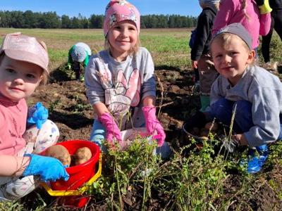 Alt="Zdjęcie przedstawia jesienne zajęcia przedszkolaków z grup Biedronek i Motylków."