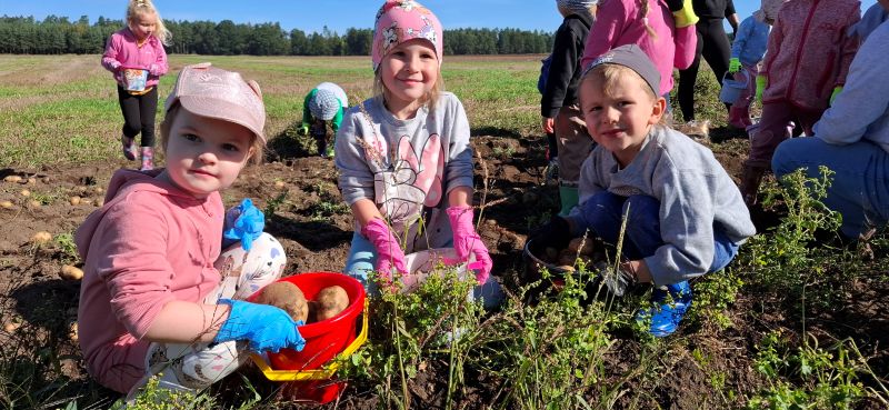 Alt="Zdjęcie przedstawia jesienne zajęcia przedszkolaków z grup Biedronek i Motylków."