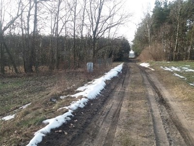 Alt="Zdjęcie przedstawia drogę w Sierakowie Śląskim. Zdjęcie: Gmina Ciasna"