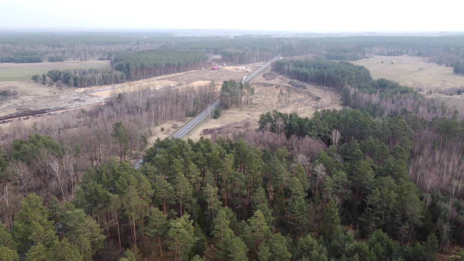 Alt="Zdjęcie przedstawia bieżącą wycinkę lasów pod budowę drogi S11- teren Łomnicy ok. 30h. Zdjęcie- Gmina Ciasna"