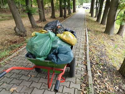 Alt="Zdjęcie przedstawia akcję sprzątania świata - Myślę, więc nie śmiecę –  w Sierakowie Śląskim."